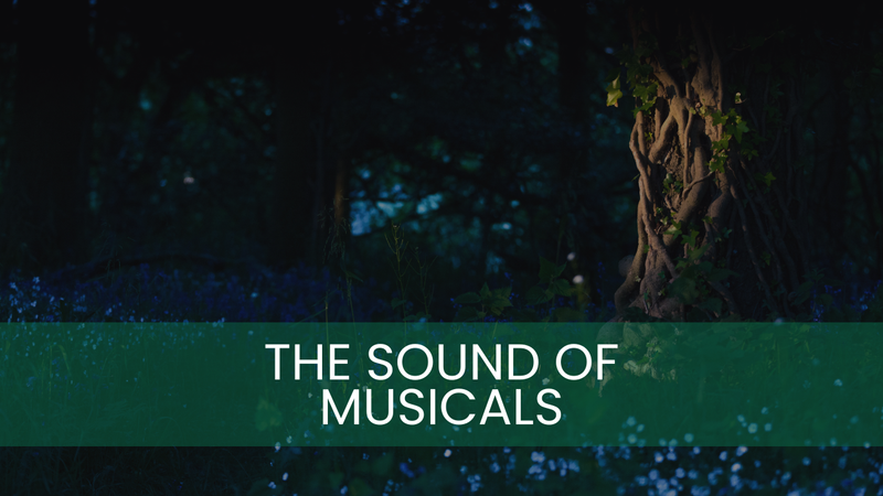 The Sound of Musicals